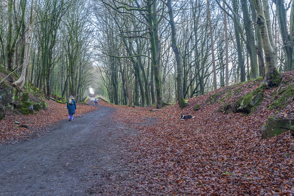High Peak Trail